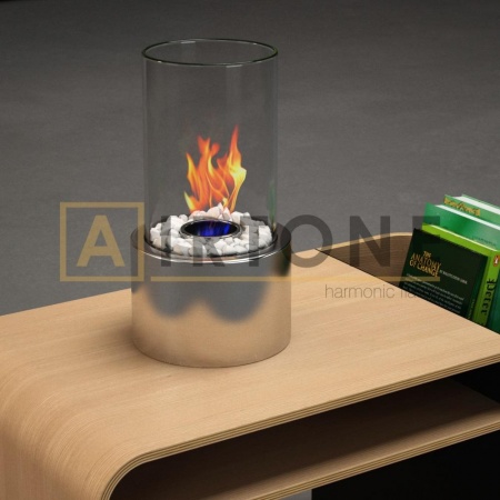 Биокамин настольный Airtone – Rond Steel Биокамин настольный Airtone – Rond Steel по цене 8 000 руб.